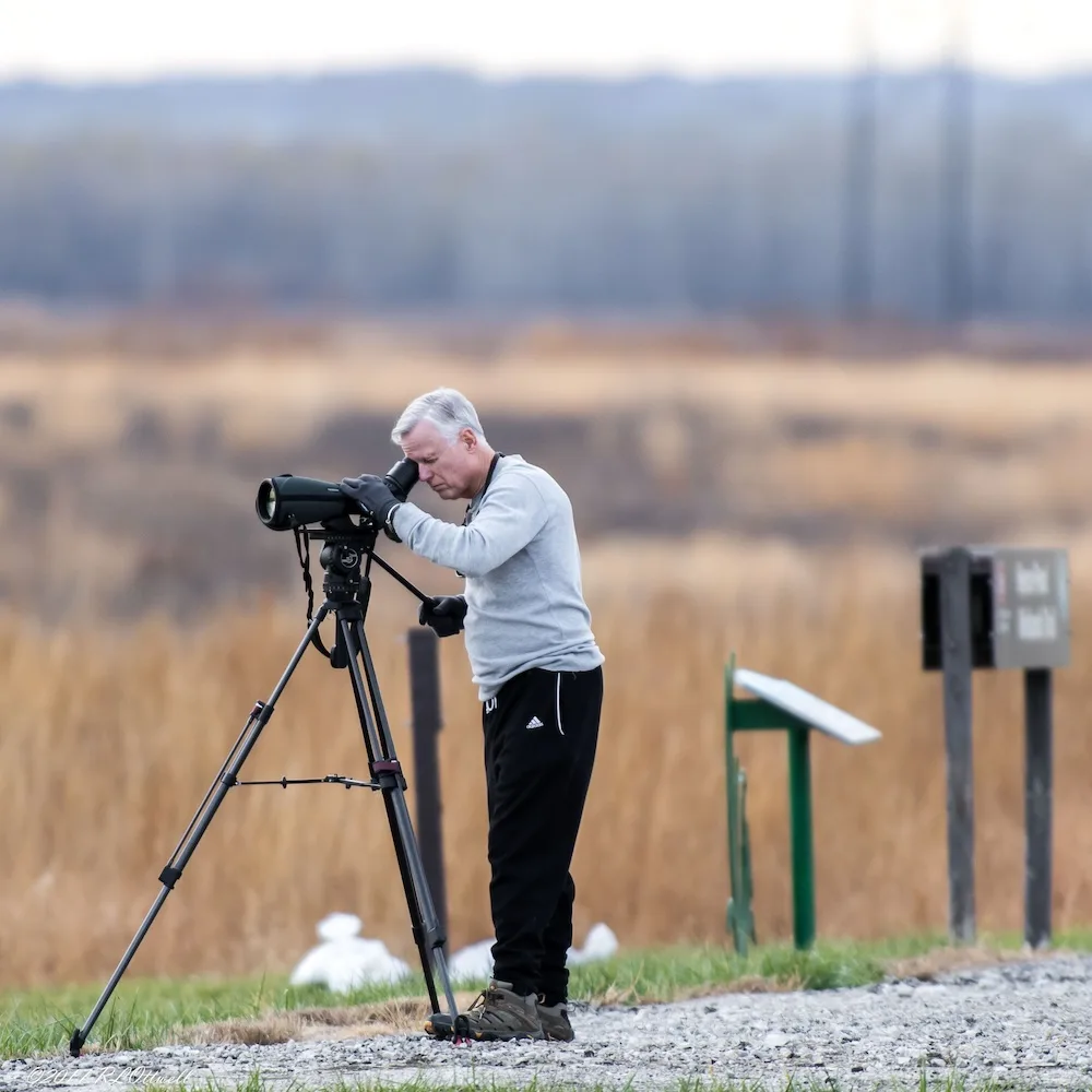 A birder at Heron Pond