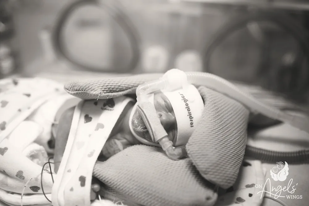 Amanda Loucks' son Ean