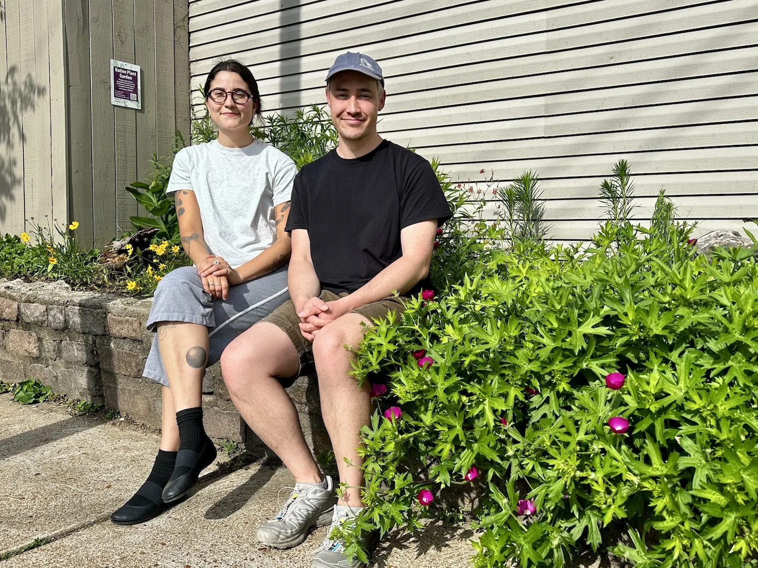 Alley Asters is turning South City alleys into native plant habitats