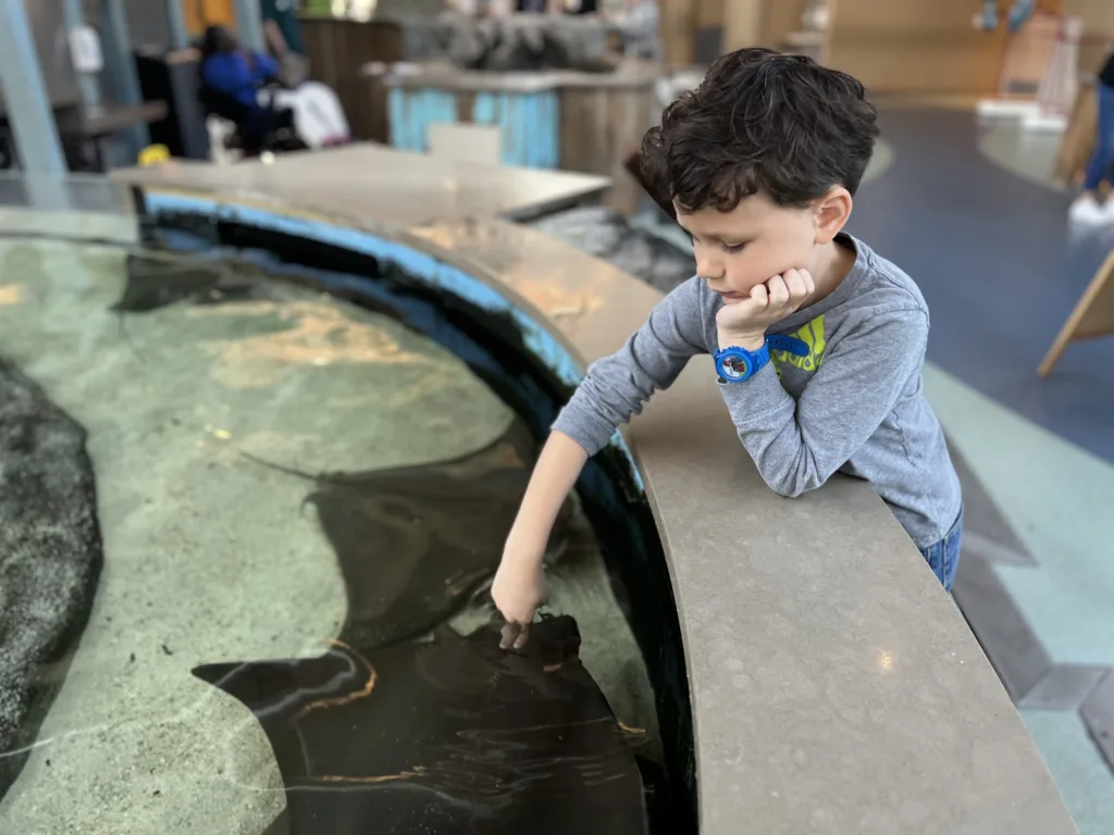 St. Louis' Lincoln Wilson-Gale has advanced to the semifinal round of a nationwide wildlife competition.