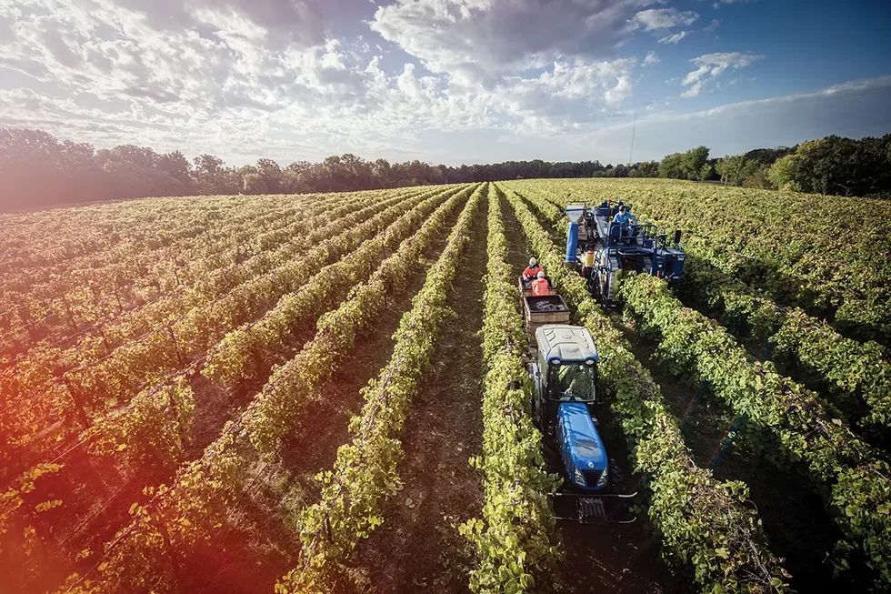 StoneHillwinery-5.webp