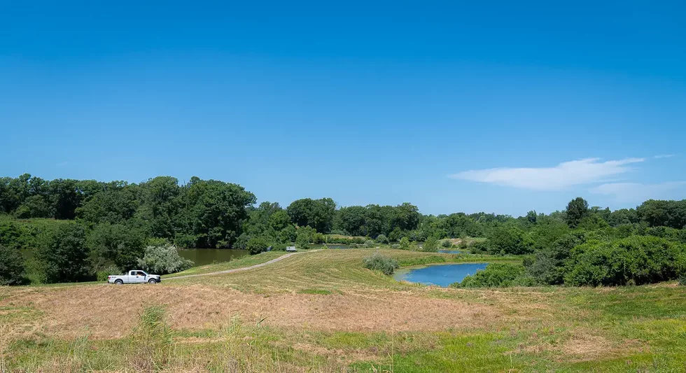 20240624_WildCarePark_0236.webp