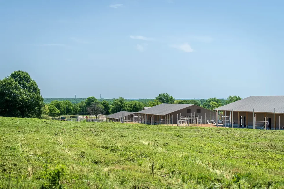 20240624_WildCarePark_0036.webp